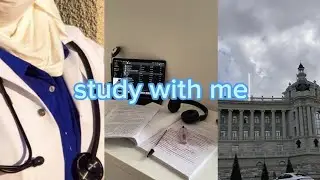 study with me//домашнее задание//огэ 24//как выжить???