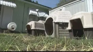 Jones County woman taking doghouse donations