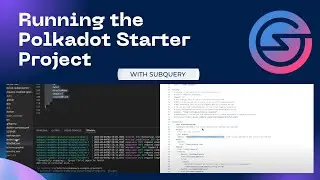 Running the Polkadot Starter Project