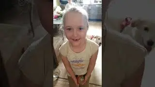 сосиска не вареная)
