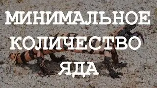ОПАСНЫЕ ВЕЩЕСТВА, КОТОРЫЕ УБЬЮТ ВАС