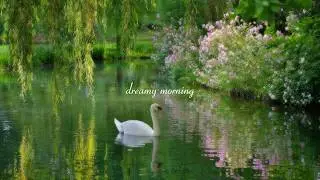 dreamy morning vibes 🍃 soft piano for peaceful & cozy days