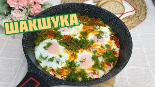 ШАКШУКА🍅🍳| ЛУЧШИЙ рецепт Шакшуки🤩| Вкусный завтрак😋