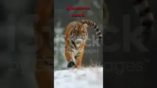 Жизненный опыт.