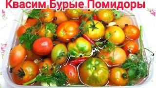 Квасим  БУРЫЕ  ПОМИДОРЫ * Хранятся до ВЕСНЫ