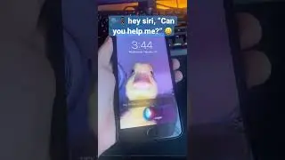 🗣📱 hey siri, “Can you help me?” 😃