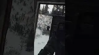 Fight after fight, no idea how we extracted! 