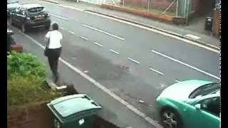 Anciana mete un gato al tacho de basura