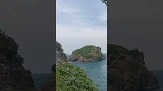 Kuş cenneti #hoynatadası #perşembe #ordu