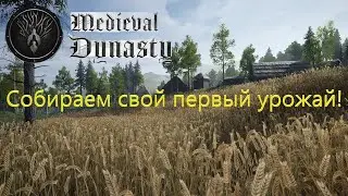 Medieval Dynasty -  