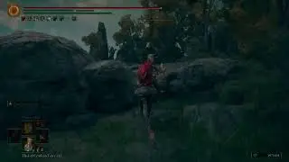 ELDEN Ring High level hosting