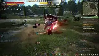 Black Desert Online 268 AP Awakening Ninja Dark Rift Boss Red Nose Level V 3