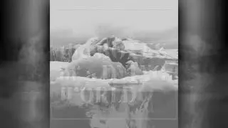 The Here And Hereafter - If These Trees Could Talk