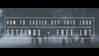 Moody Cinematic Look + Where To Get Free LUT