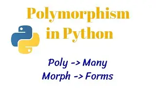 Polymorphism in Python Functions || CLASS 12 XII Computer Science
