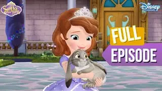 Sofia's summer night preps | Sofia The First | S1 EP 25 | @disneyindia