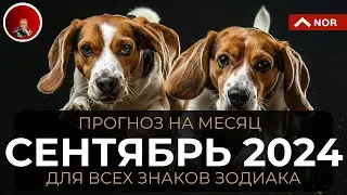 Активный ПРОГНОЗ на Сентябрь 2024 для Всех Знаков Зодиака/ Прогноз и Советы для Вас/ Лилия Нор
