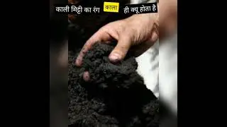 काली मिट्टी का रंग काला ही क्यों होता है | #shorts #youtubeshorts