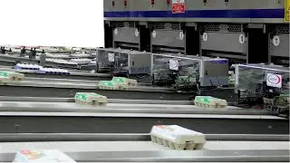 Ekoprint EP-22M  Package Coding Machine on Egg Grader