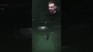 Elder Ring: Когда занимался паркуром в реале
