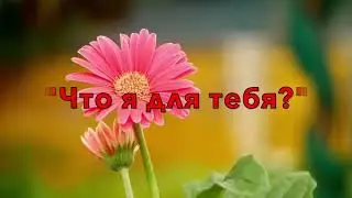 Красивая мелодия, Важные слова, Моей жене, Татьяне