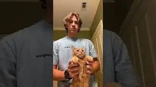 Tik Tok Videos 🤯 