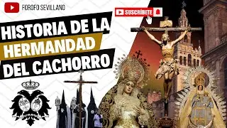 ¡¡¡HISTORIA DE LA HERMANDAD DEL CACHORRO!!!¿CONOCES LAS LEYENDA QUE HAY TRAS ESTA IMAGEN?