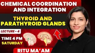 Thyroid and Parathyroid Gland Lecture 04 | Chemical Coordination and Integration | Ritu Rattewal