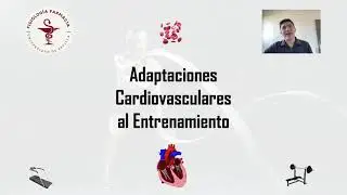 Adaptaciones Cardiovasculares al Entrenamiento físico