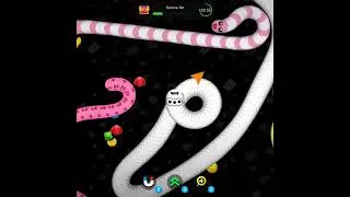 This Is Mirical Snake | Zavenger