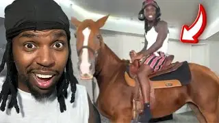 KAI CENAT BRINGS A HORSE ON STREAM! *THIS WAS INSANE*