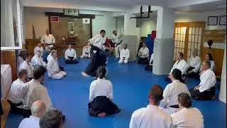Aikido Nebi VURAL