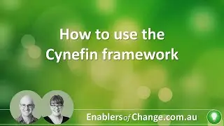 How to use the Cynefin framework