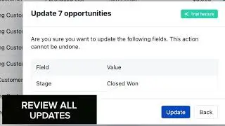 Bulk Update Salesforce Records with Confidence in Just Seconds