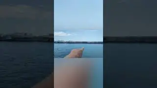 1 июля 2024 г.