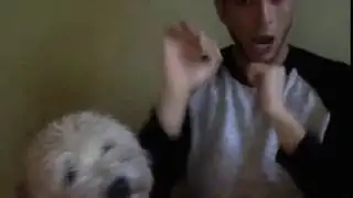 dab with dog CUTE