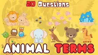 How Well Do You Know the Names of Animal Babies and Groups? Take This Quiz and Learn Something New