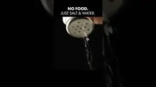 Hunger doesn’t work the way you think it does.