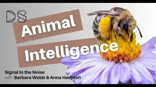 Signal in the Noise