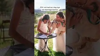 How to have your dog sign your marriage license #microwedding #elopementwedding #colorado