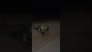 ok