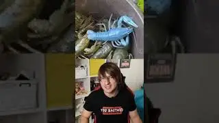 ПОЧЕМУ РАК СИНИЙ?