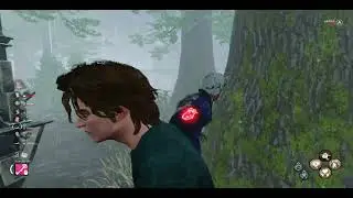 DBD 8V2