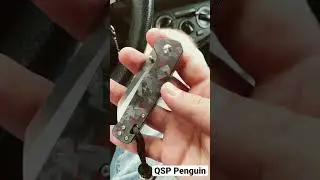 QSP Penguin Quick look по-быстрому
