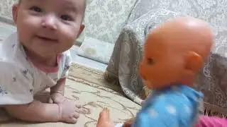 31 октября 2023 г.
