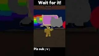 Do you know what is Doge writing? in Roblox 