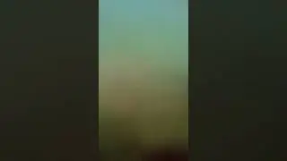 10 июля 2024 г.