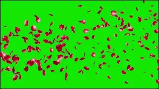 kinemaster green screen beautiful effects/no copyright