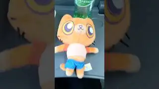 Симбочка это - клубничка в шоколаде!😼🍓 