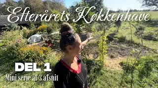 Efterårets køkkenhave | del 1: En tur gennem bedene.
